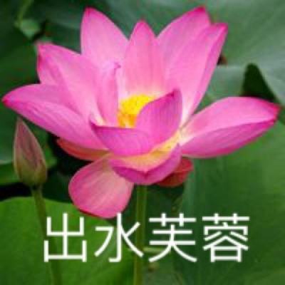 黄金战斗破解版下载